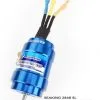 Hobby Wing Hobby Wing Seaking 3900Kv 2848SL Brushless Motor